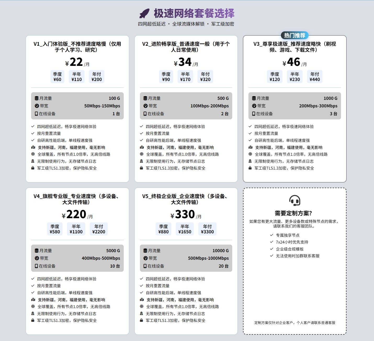 VPN加速器（v2一个月）